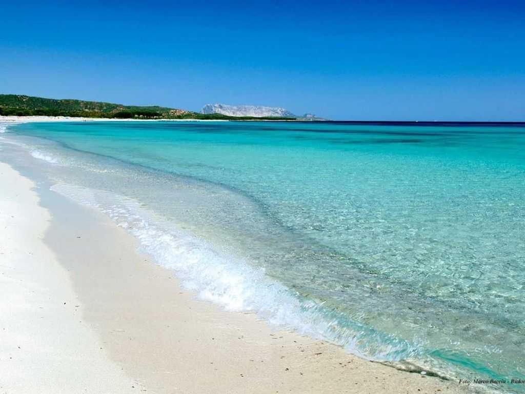 Villa Indipendente Al Mare Budoni 타나우넬라 외부 사진