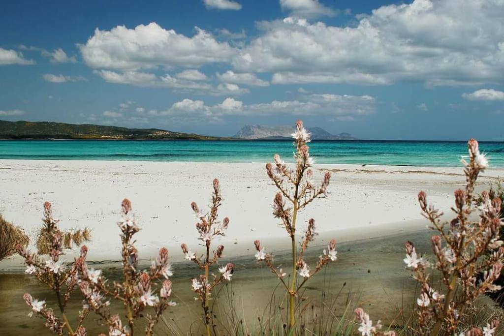 Villa Indipendente Al Mare Budoni 타나우넬라 외부 사진