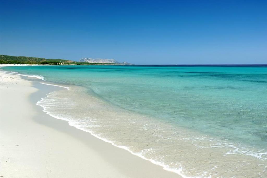 Villa Indipendente Al Mare Budoni 타나우넬라 외부 사진